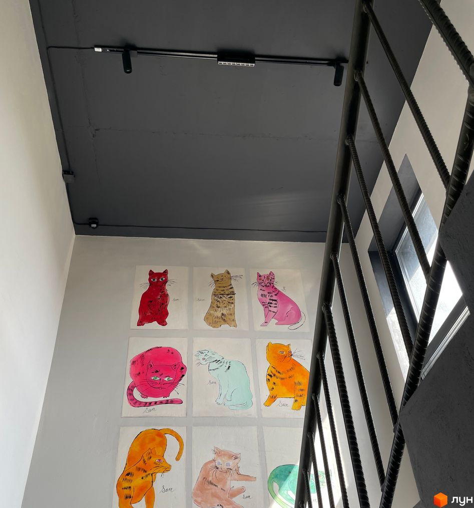 Сходова клітка Житлового комплексу ArtHof, прикрашена кольоровими картинами котів, з чорною стелею та металевими перилами.