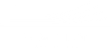 ЖК Emily Apartments