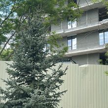 Хід будівництва ЖК OZONE, Будинок, травень 2025