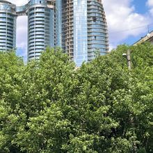 Хід будівництва ЖК Taryan Towers, 3 будинок, червень 2025