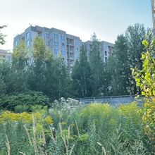Хід будівництва ЖК Зіркова Вежа 2, 1, 2 секції, серпень 2025
