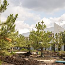 Хід будівництва Таунхауси 4 Lines, 0, серпень 2025