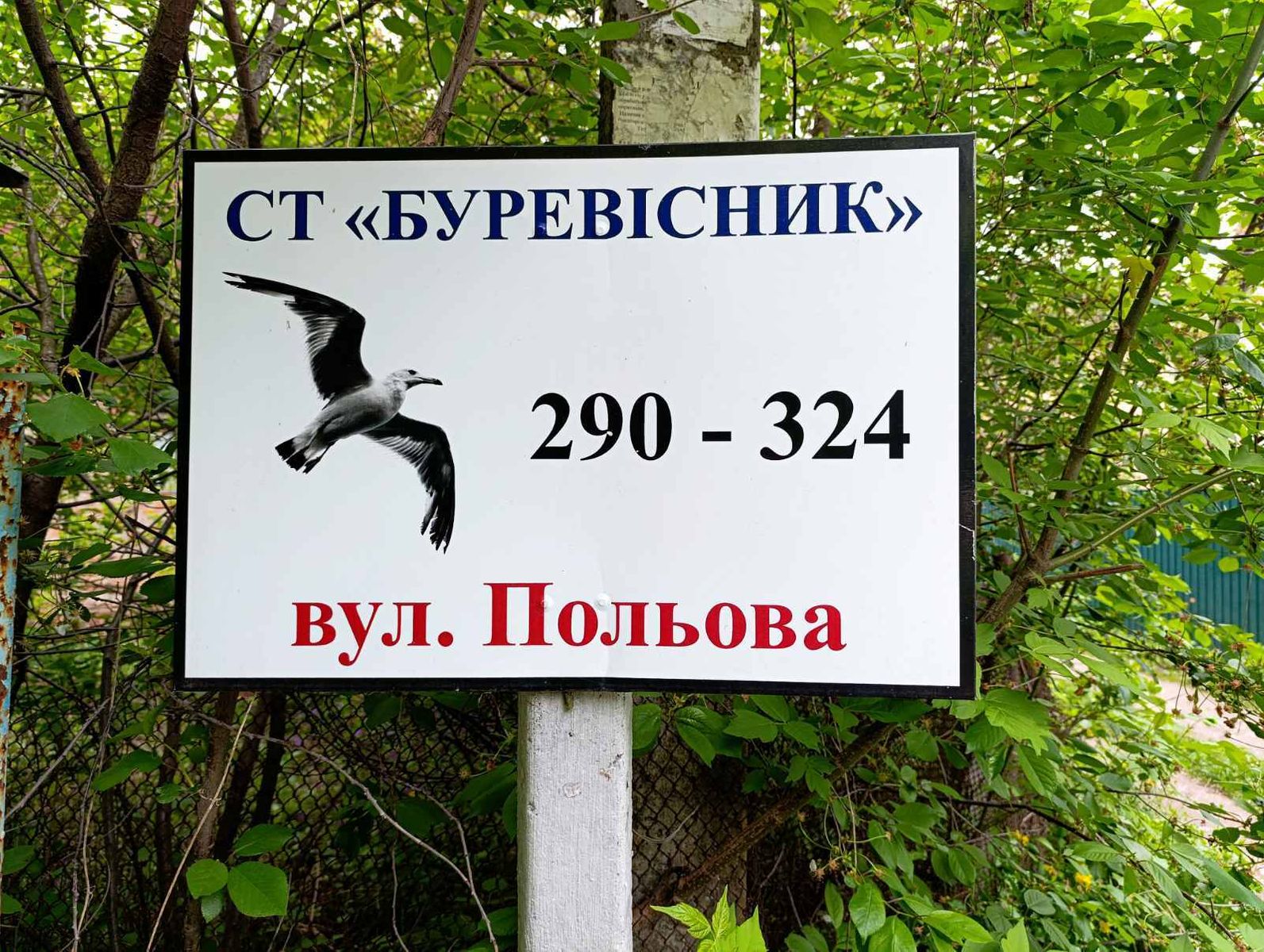 1838429619260100