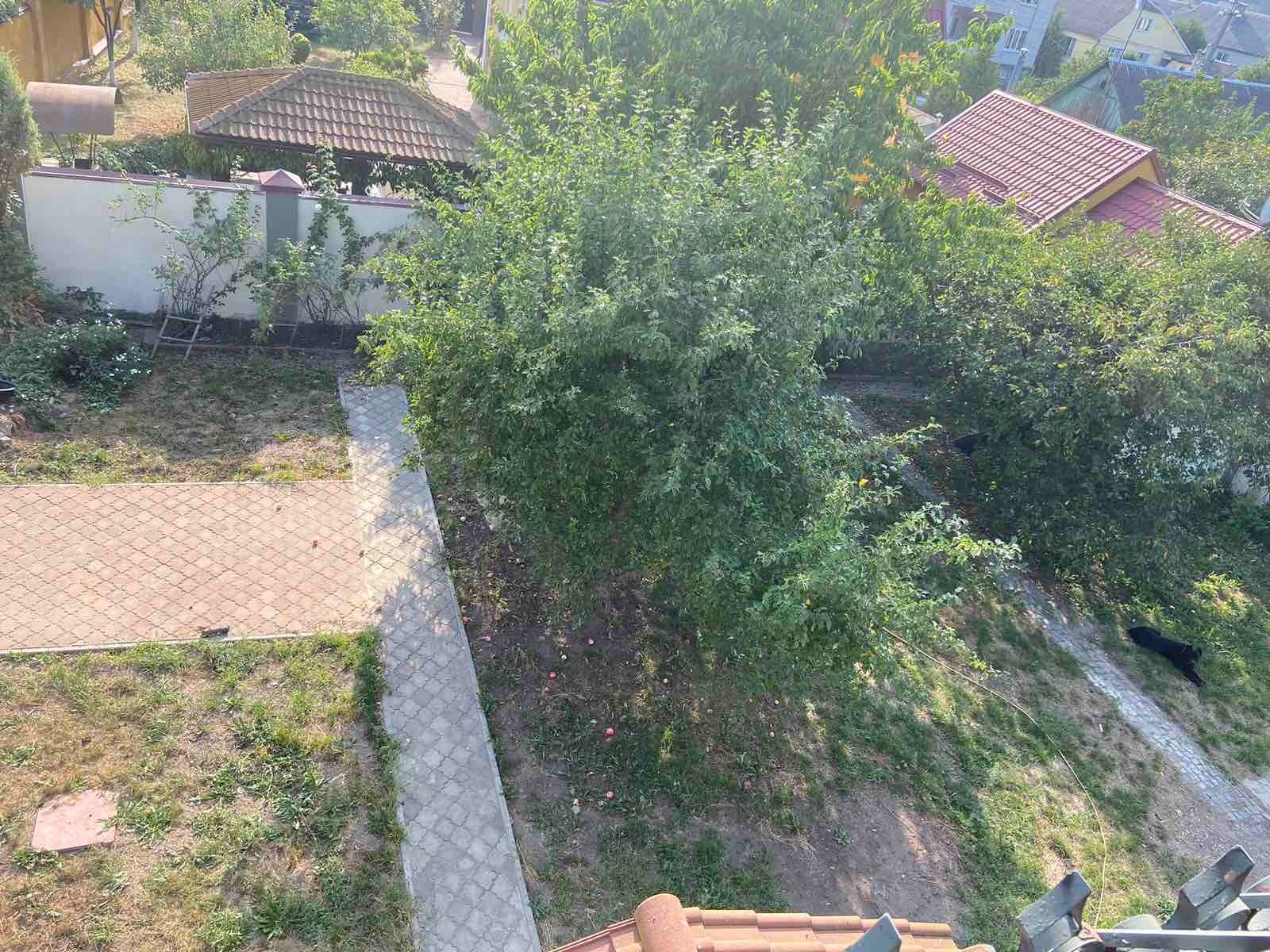 1809273430009103