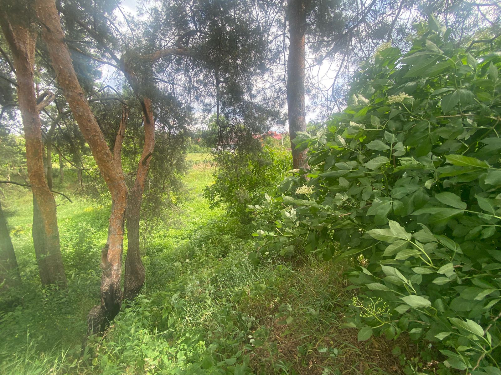 1800845786236108