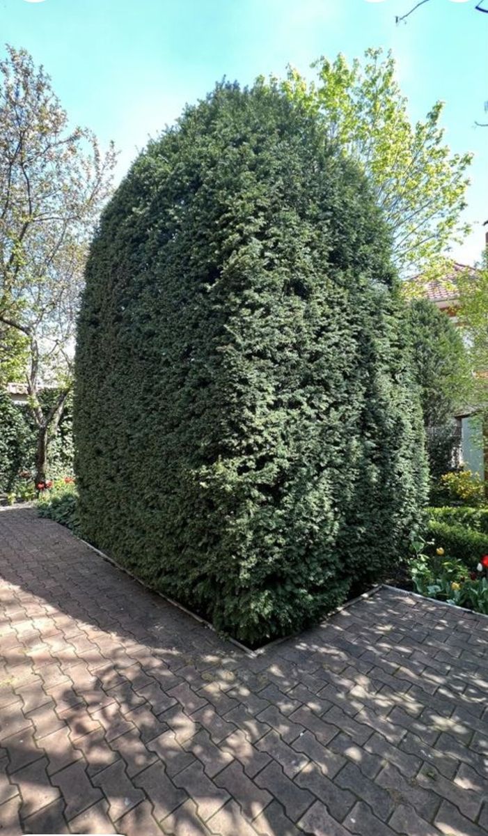 1836626668081112