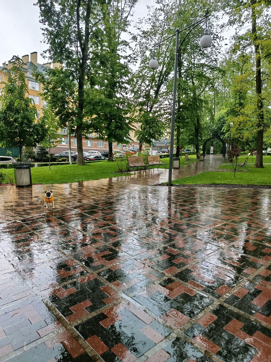 1832487099076118