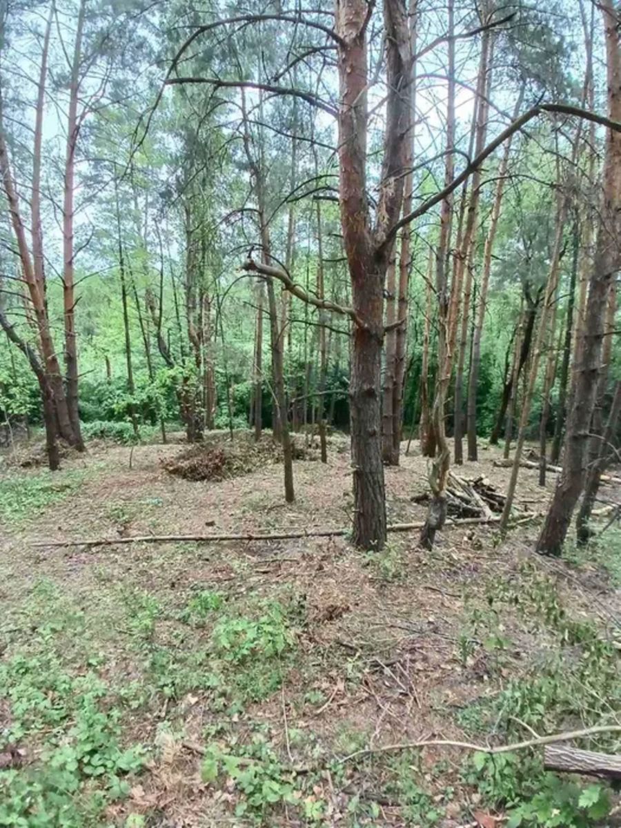 1835356296857120