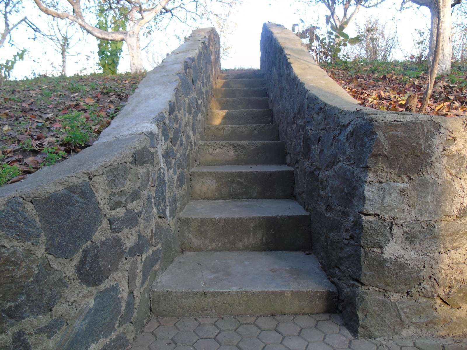 1832278393244121