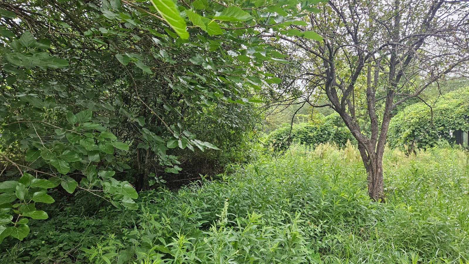 1831647850707129