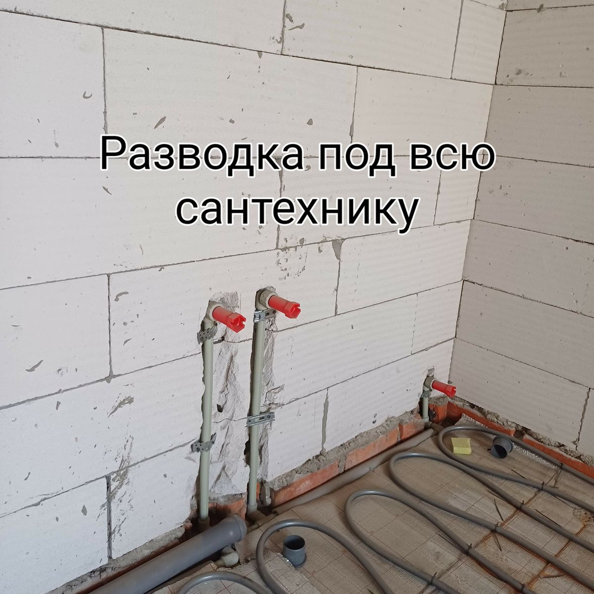 1832855425247013