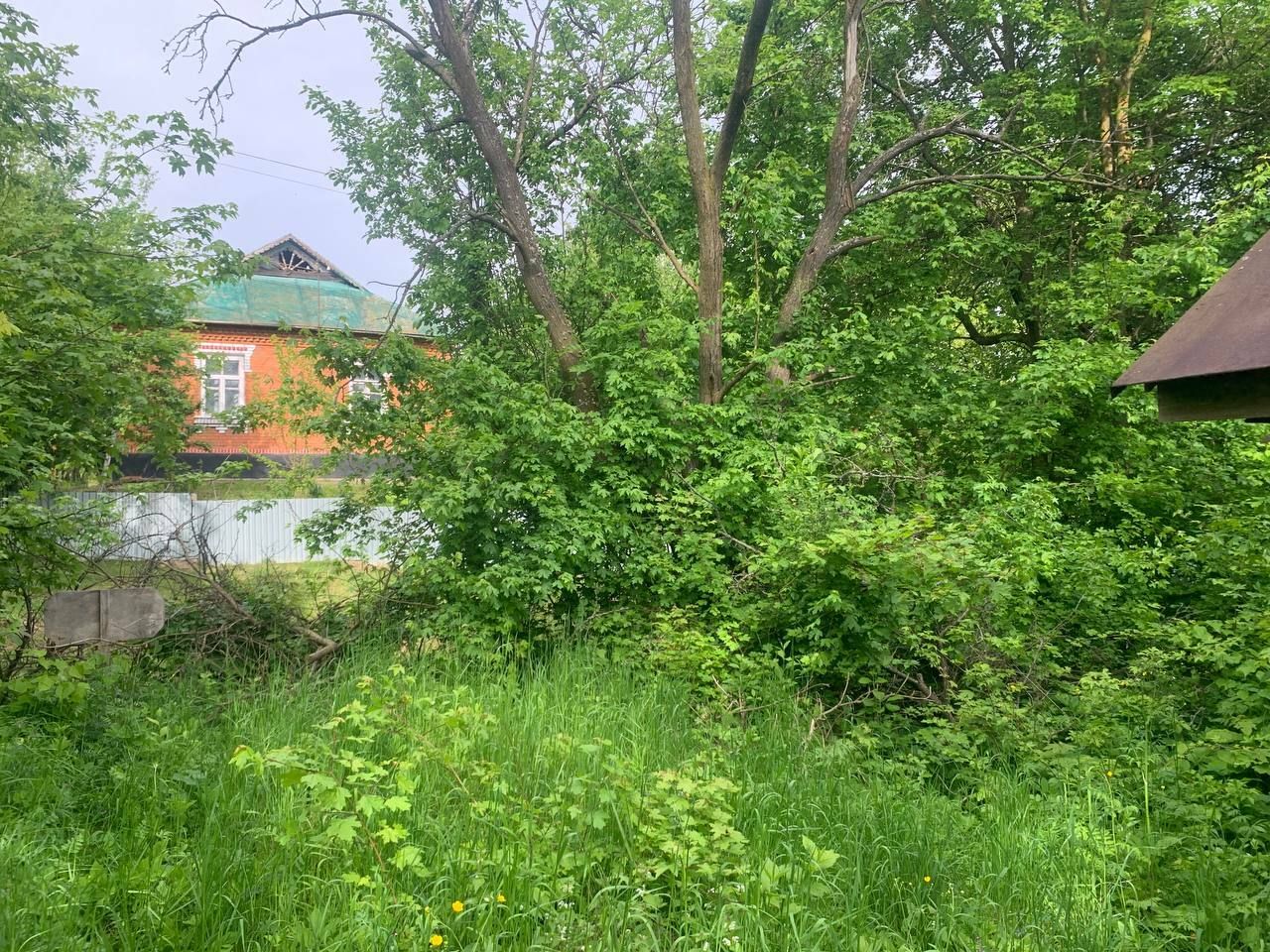 1833204575424013