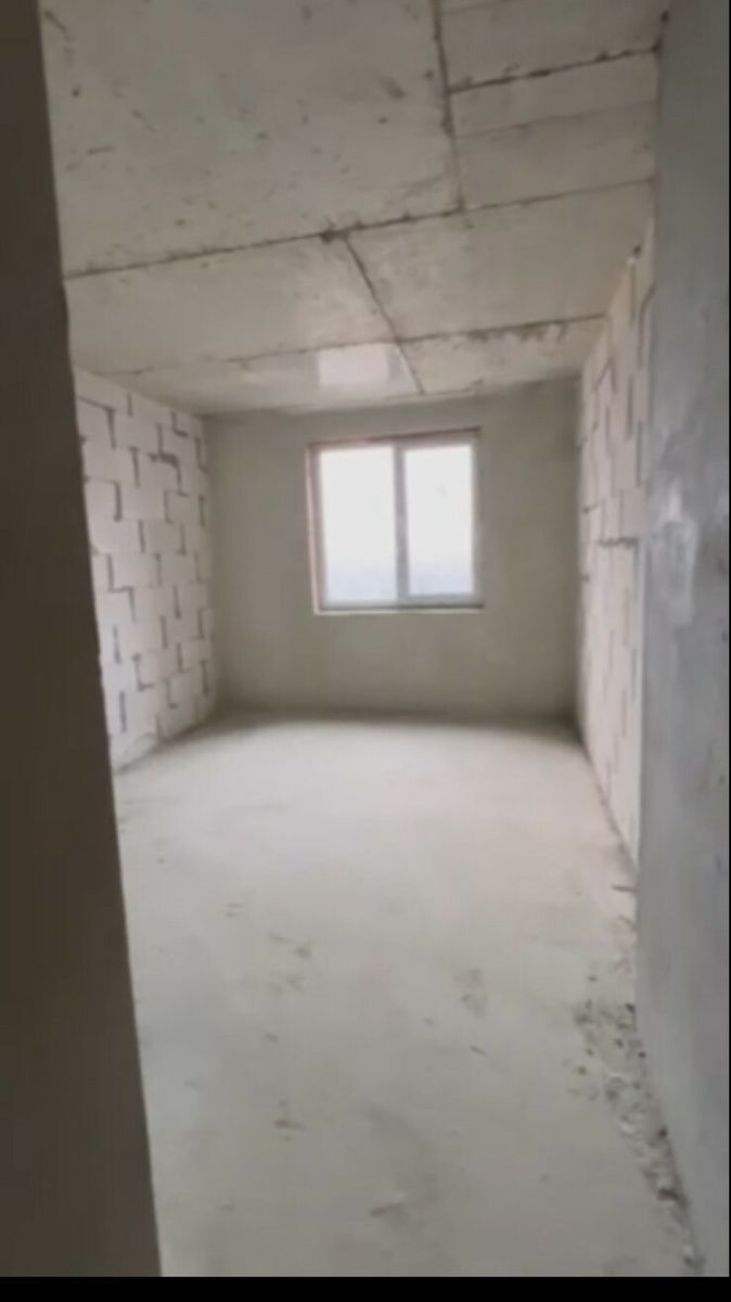 1831461588896130