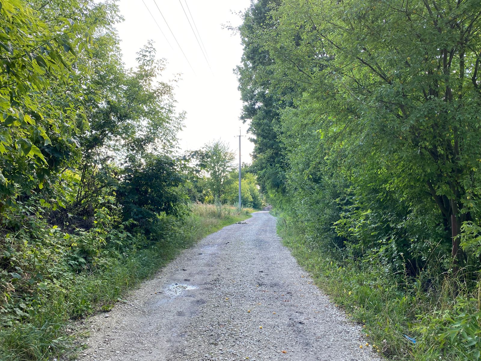 1838446267222131