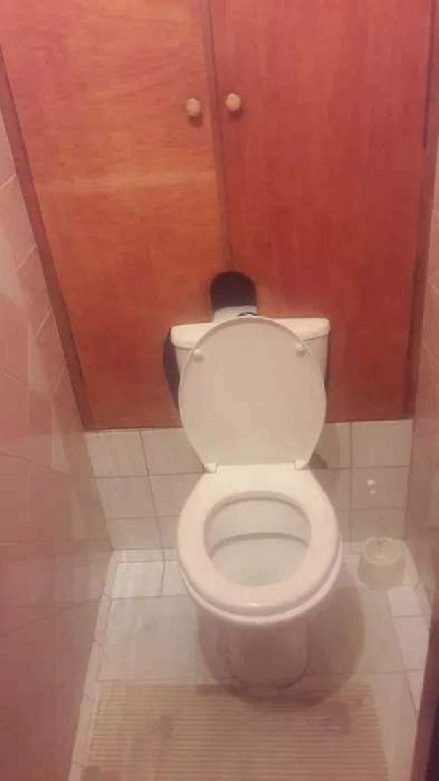 1834095343239134