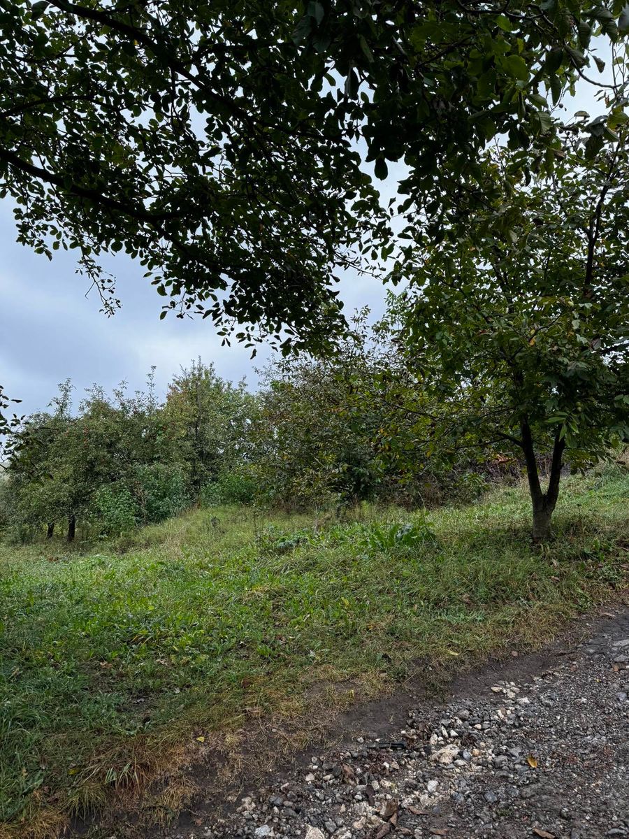 1839077115839141