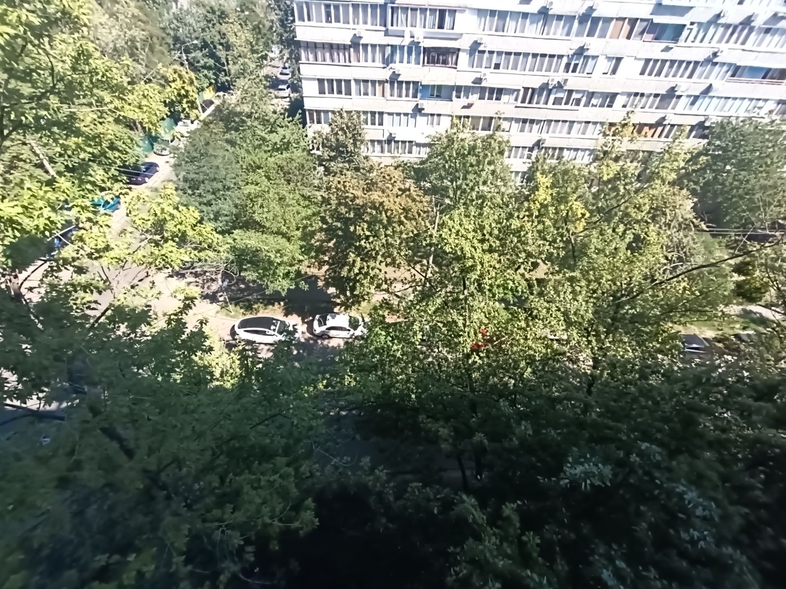 1807381064671148