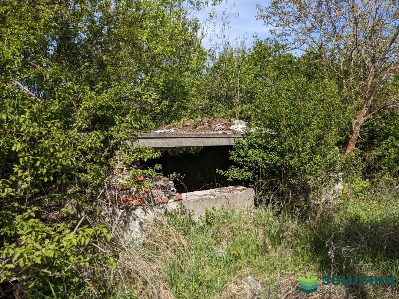 1832471767344157