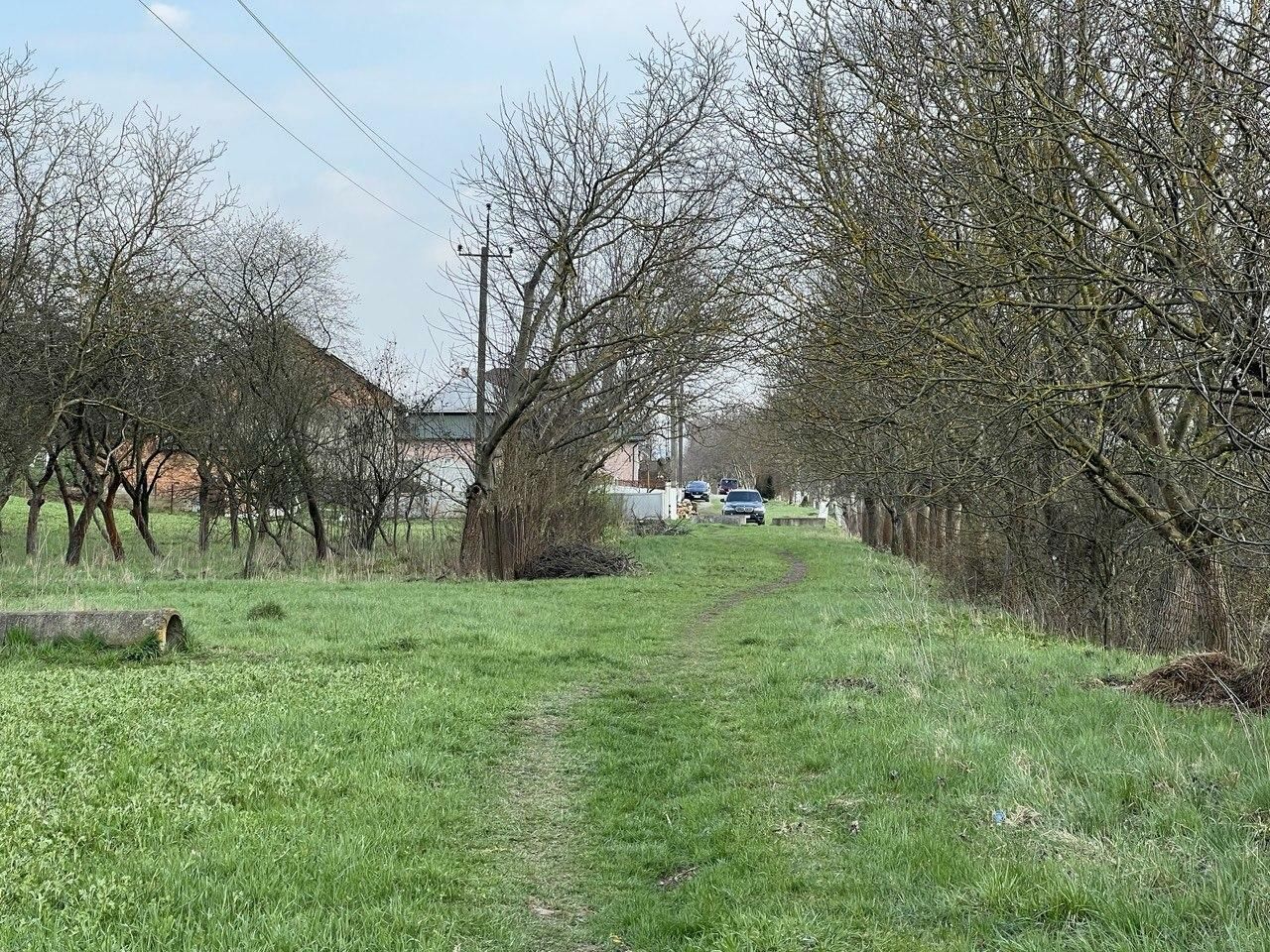 1832083766074160.jpg