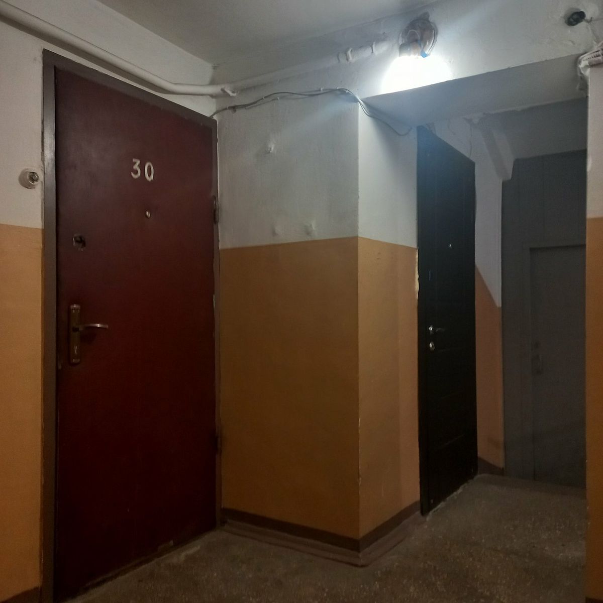 1837163271483162