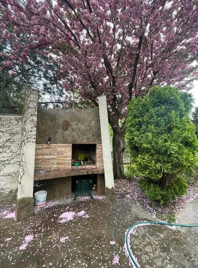 1835815916324165