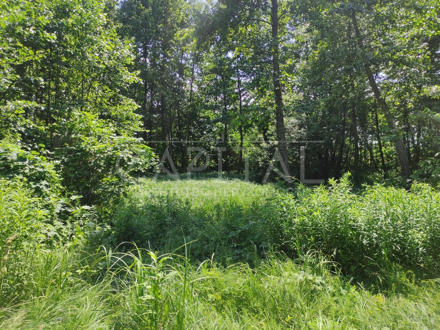 1840515468582171