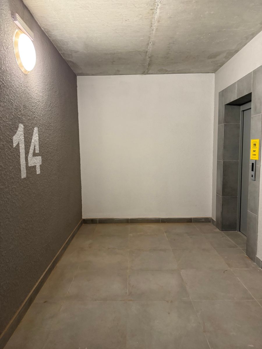 1832823356587177