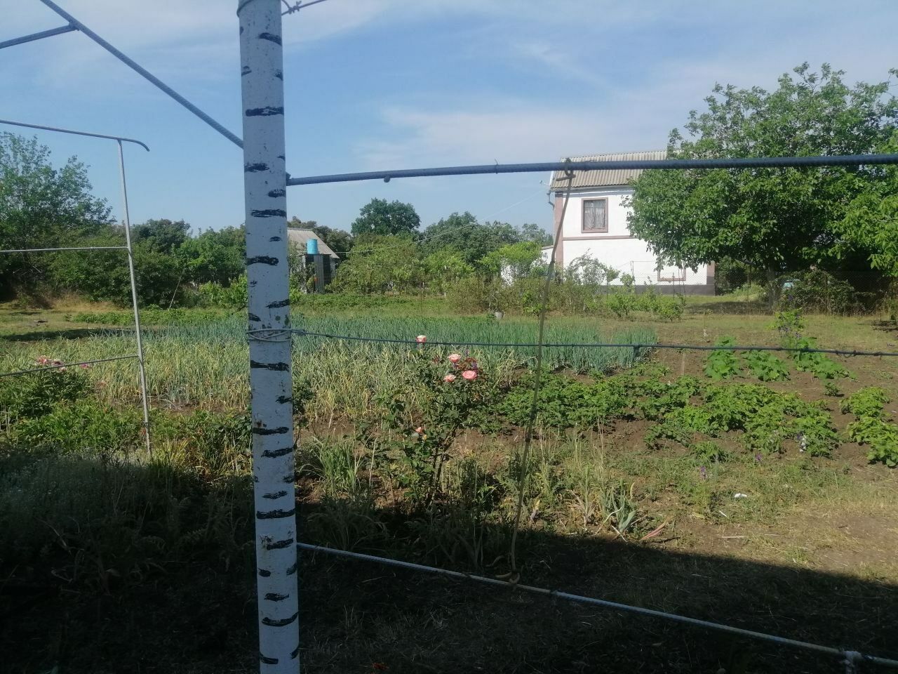 1837997877033179