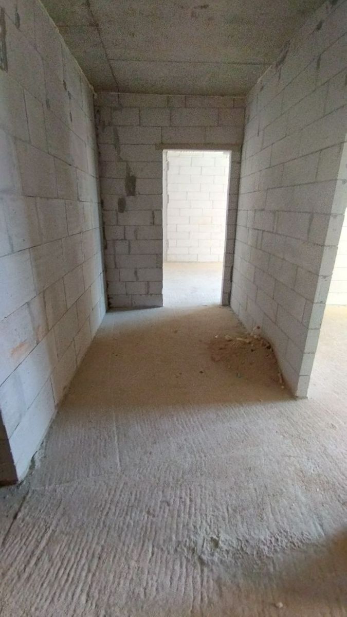 1833165774348185