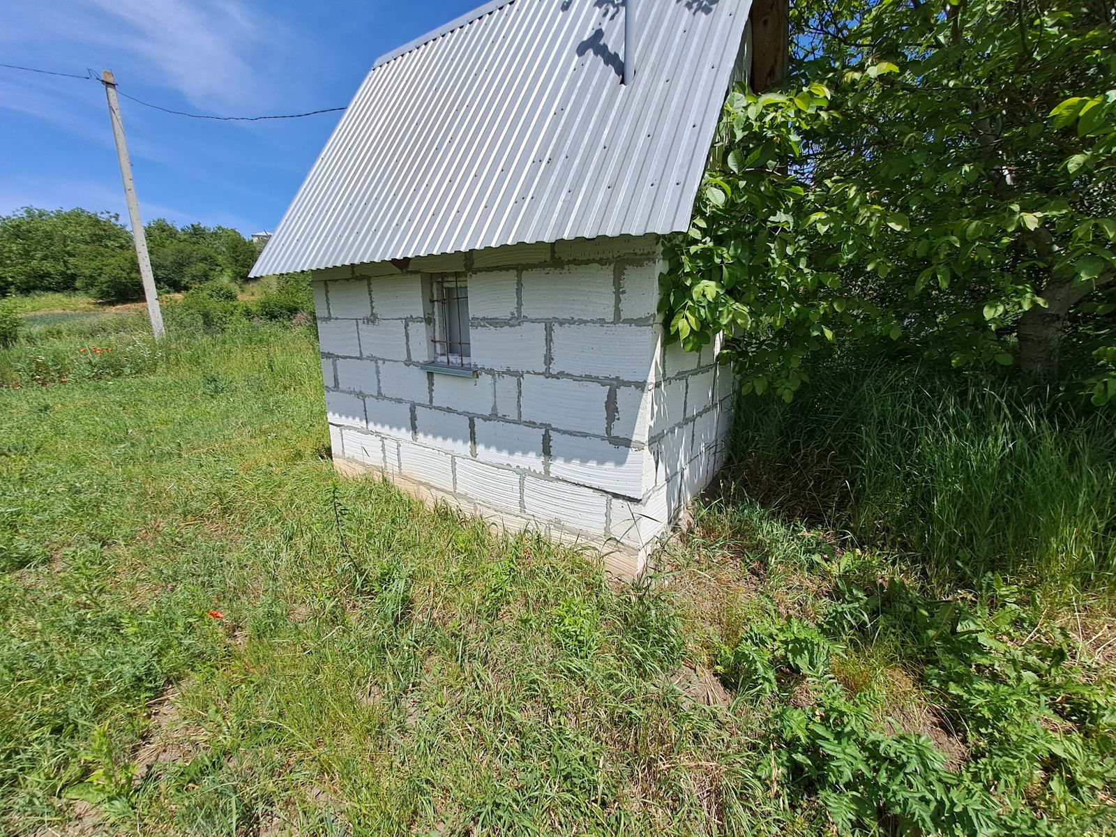 1835805177396189