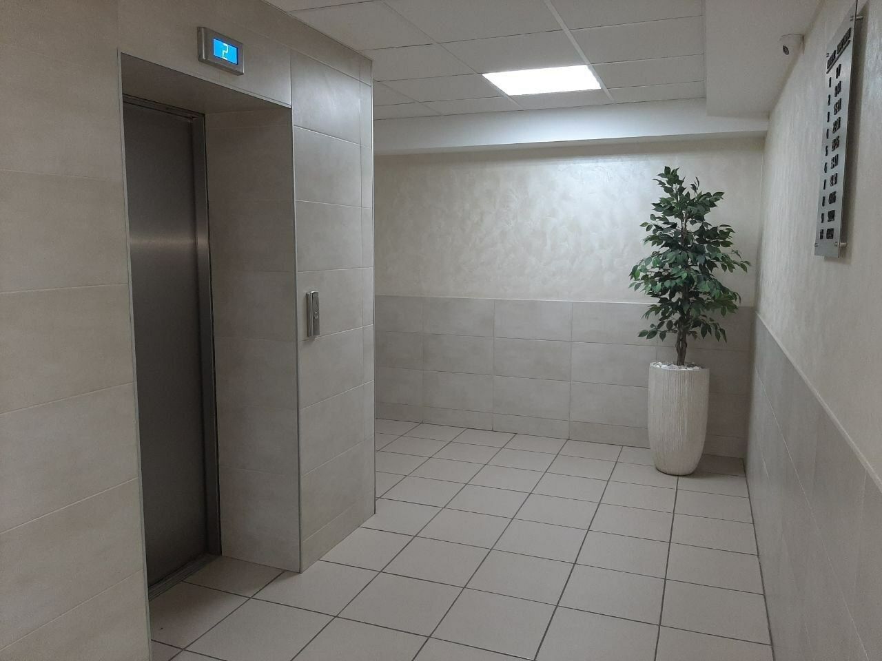 1833812231962019