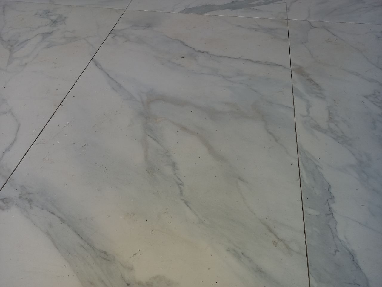 1840263894201019