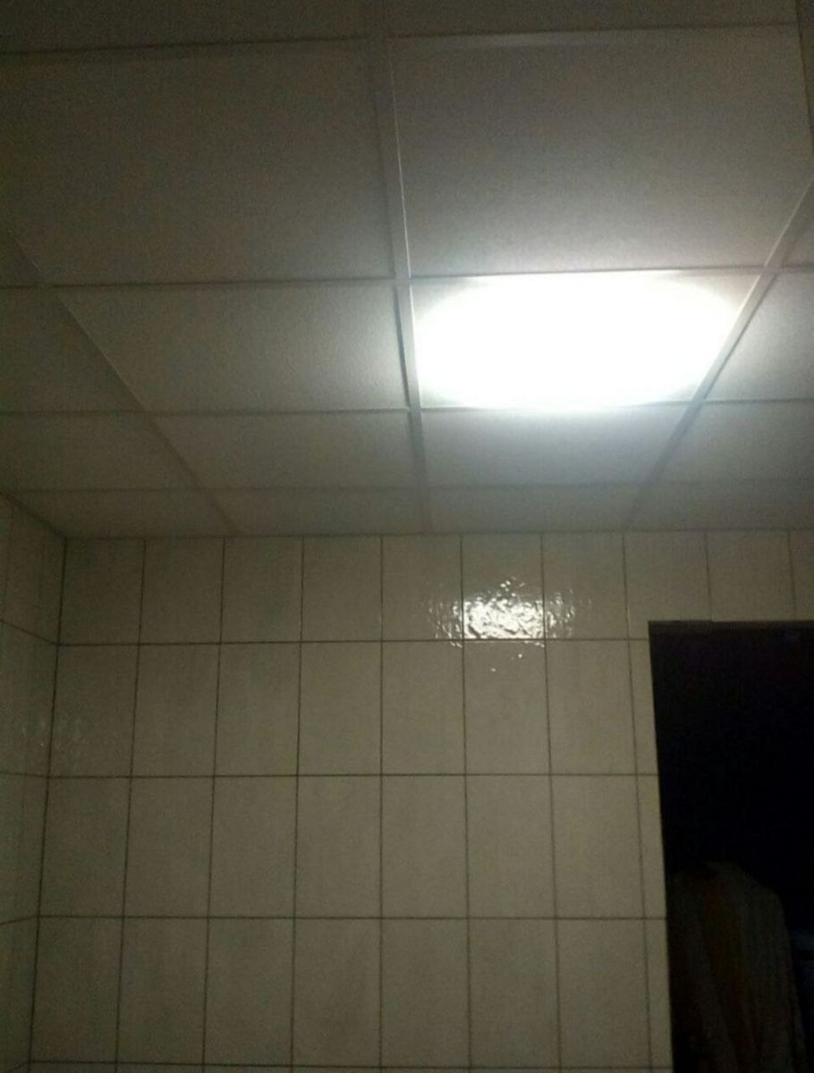 1830190819720198