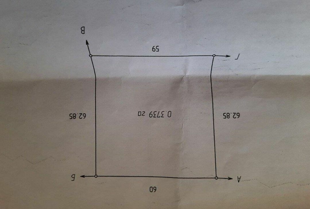 1834196749001203.jpg
