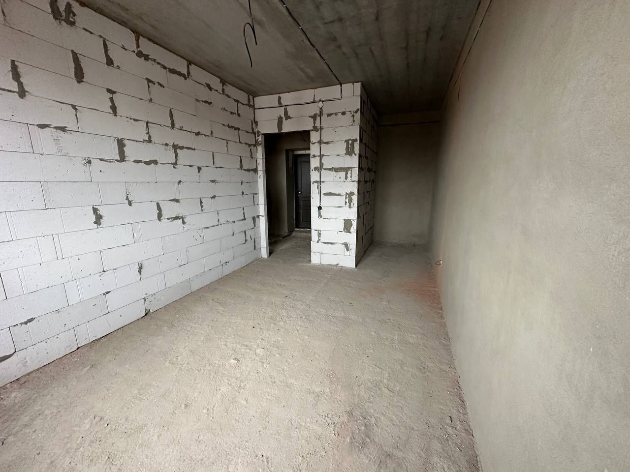 1833351304007205