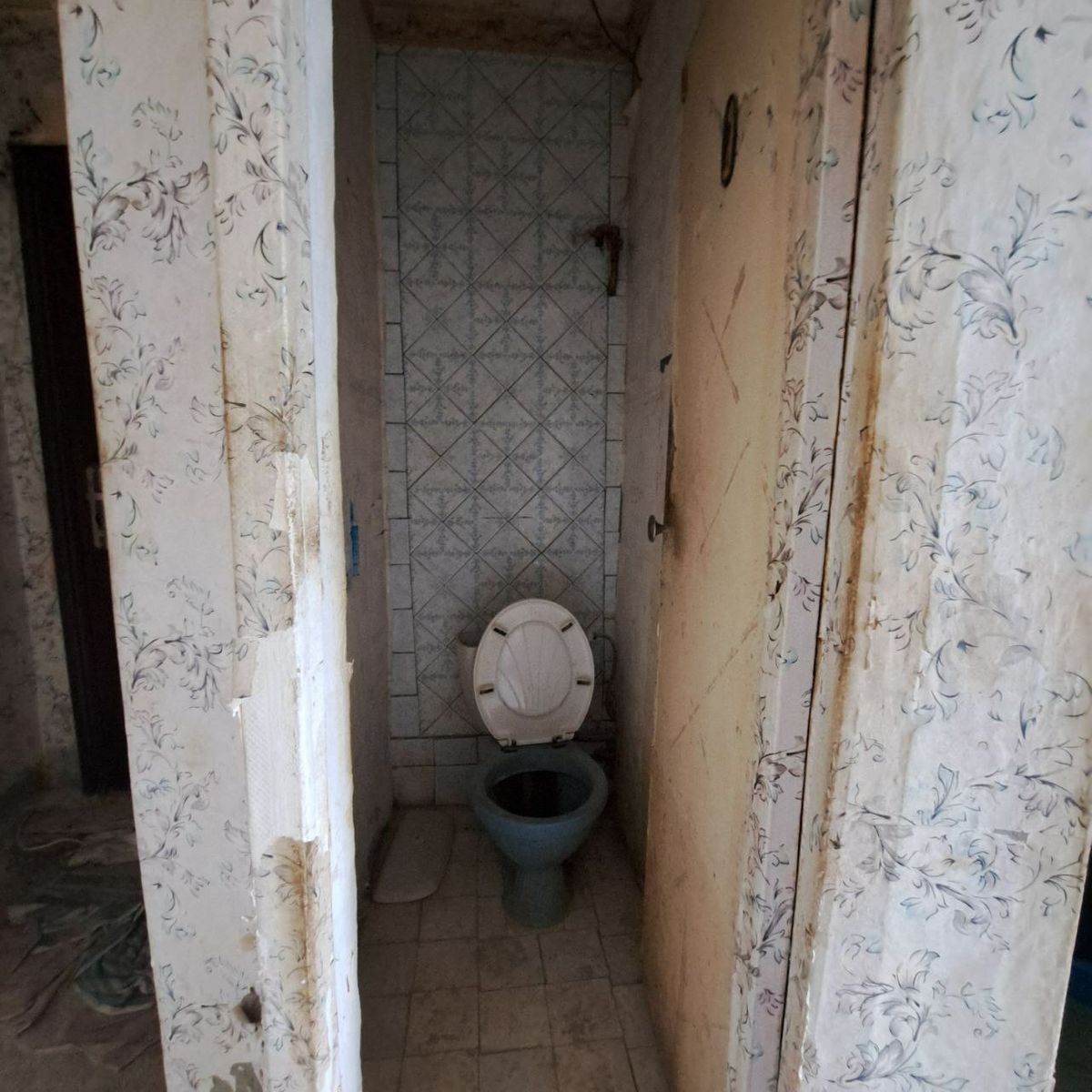 1833634483163208