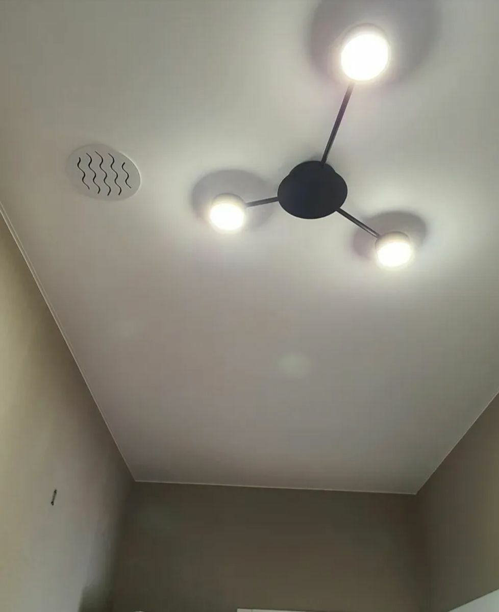 1838240300434210