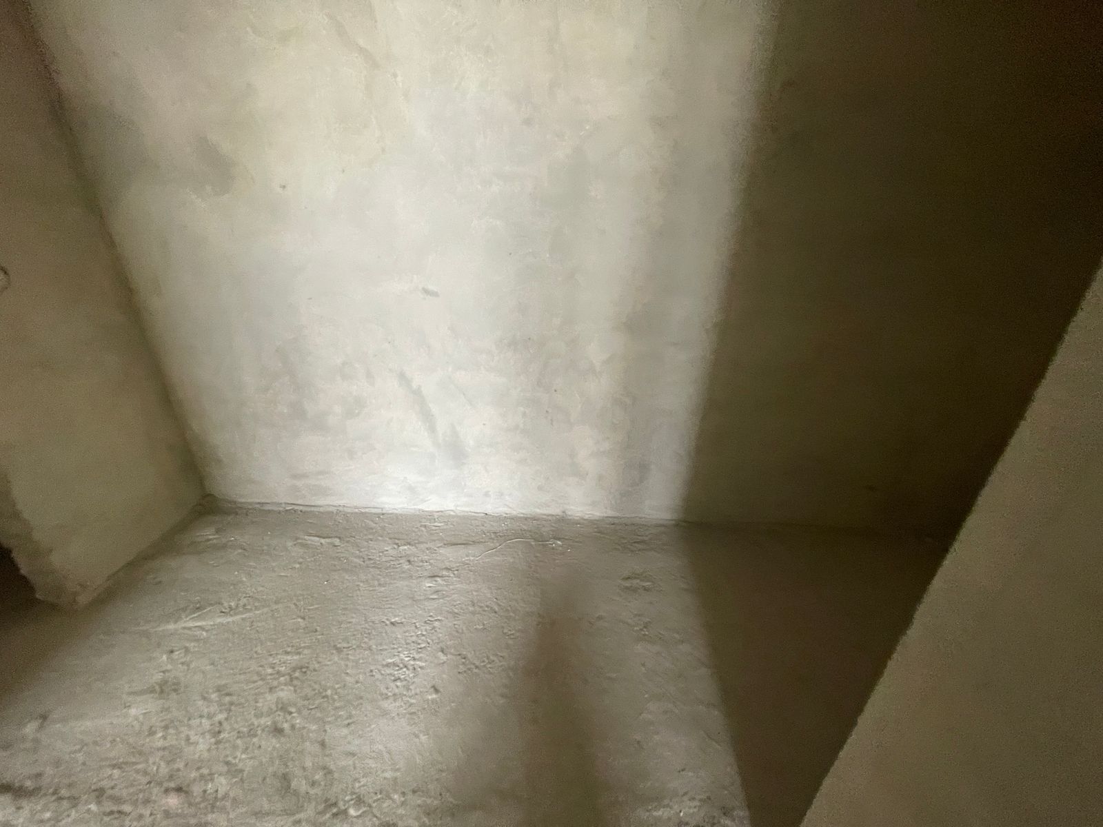 1834286858343213