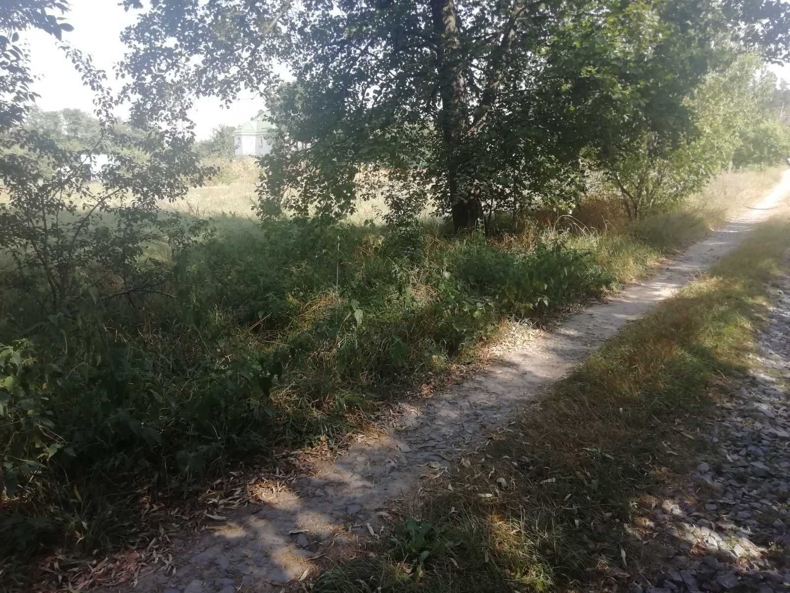 1775770775450219