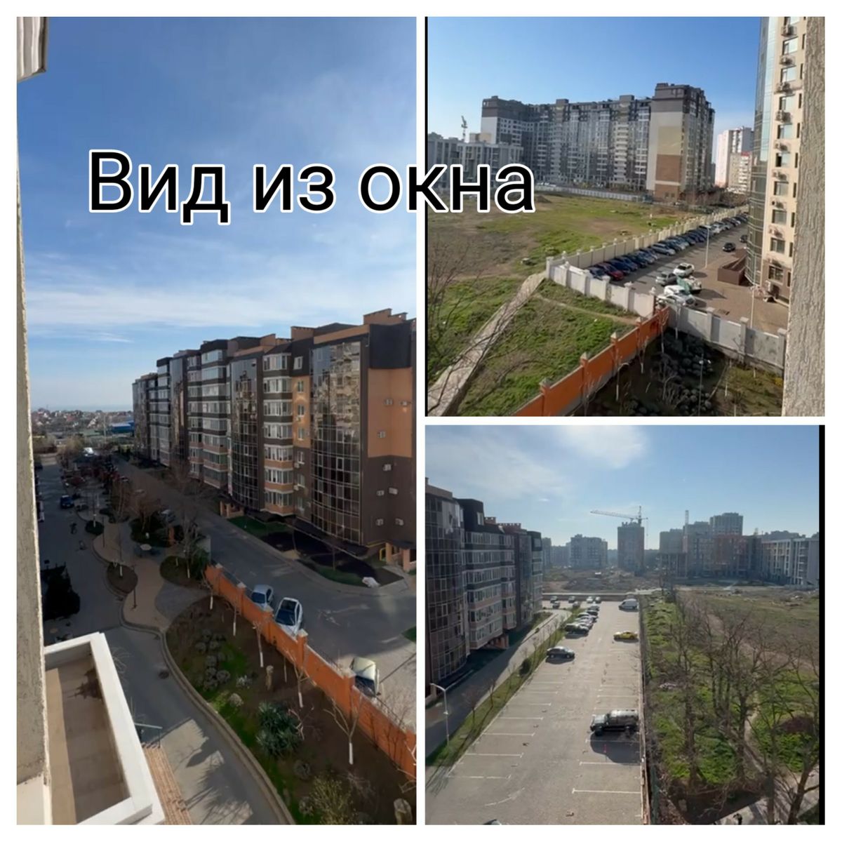 1834388329017219