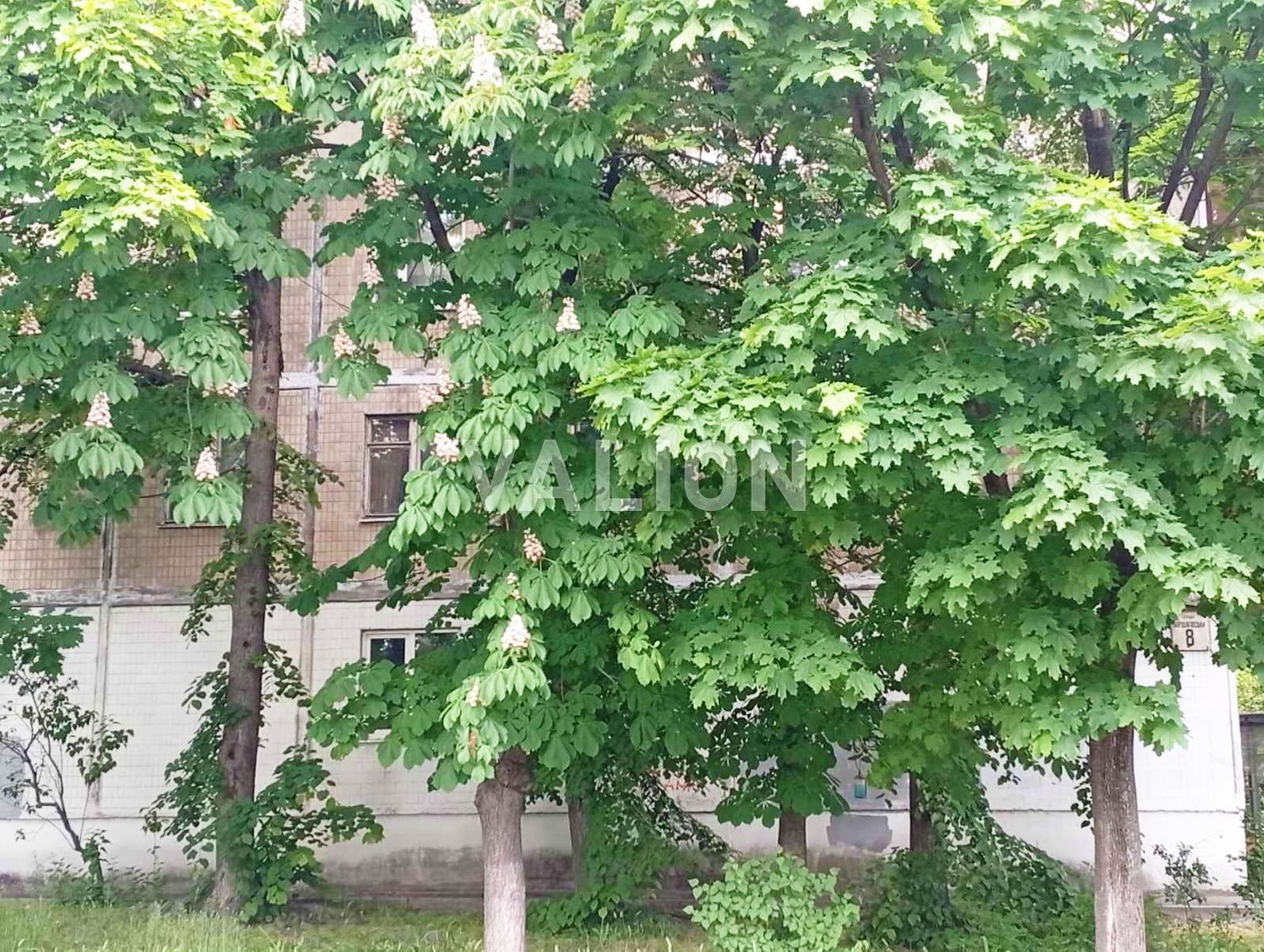 1832906476119222