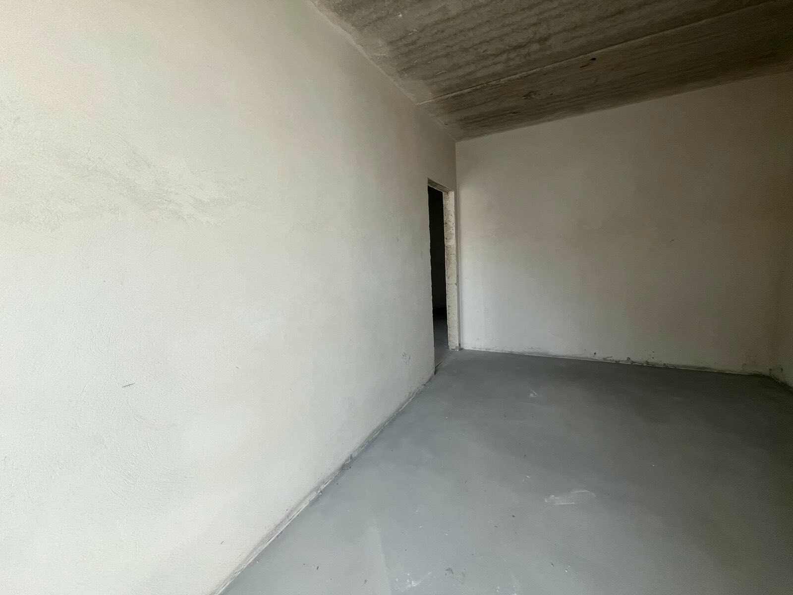 1834457472264224