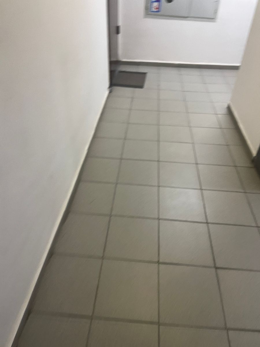 1832905832786225