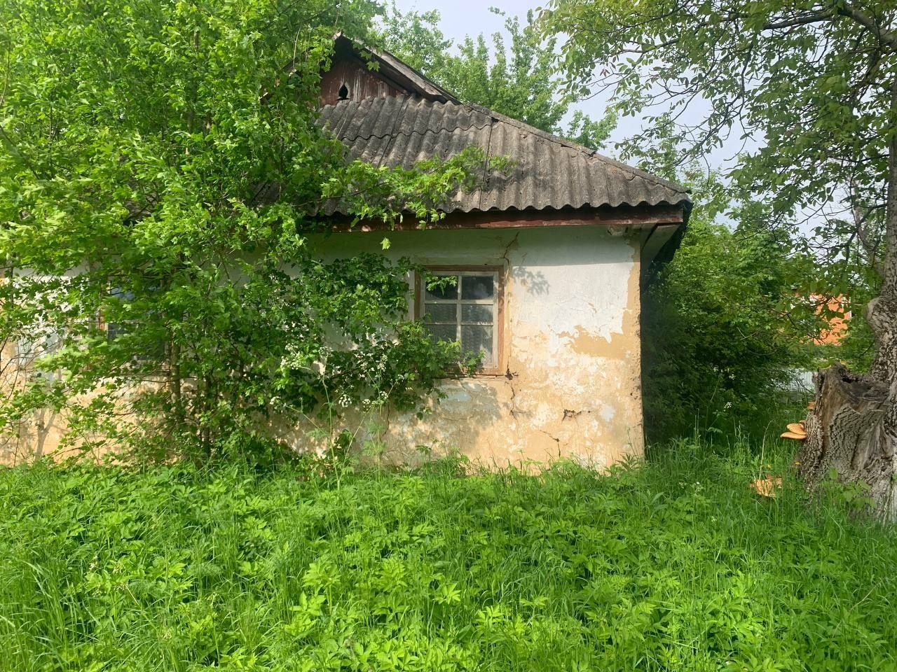 1833204576088231
