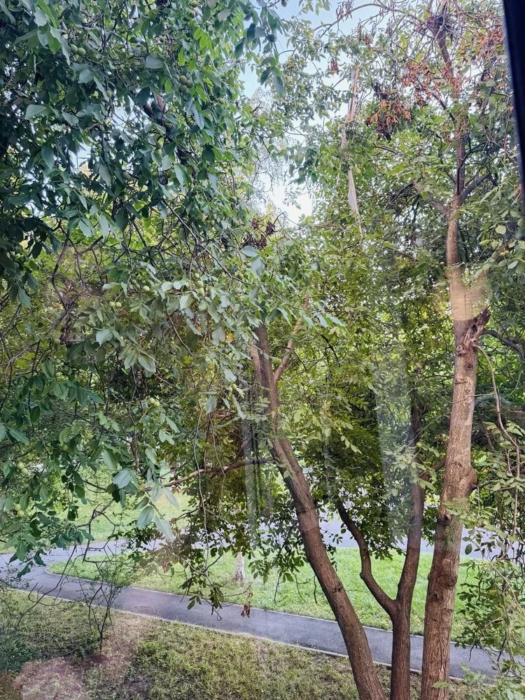 1840617608482231