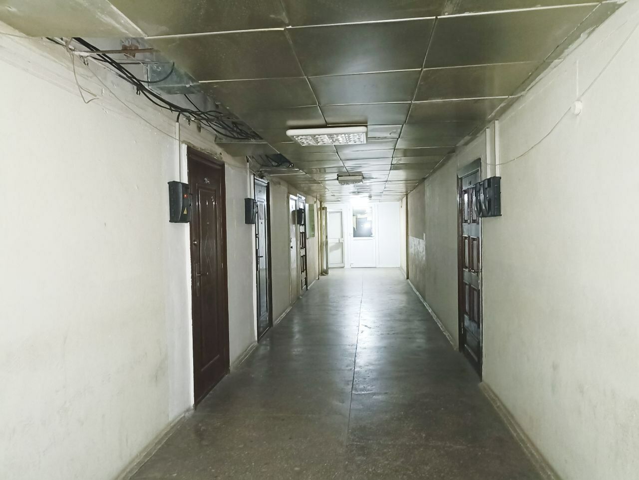1830021173373233