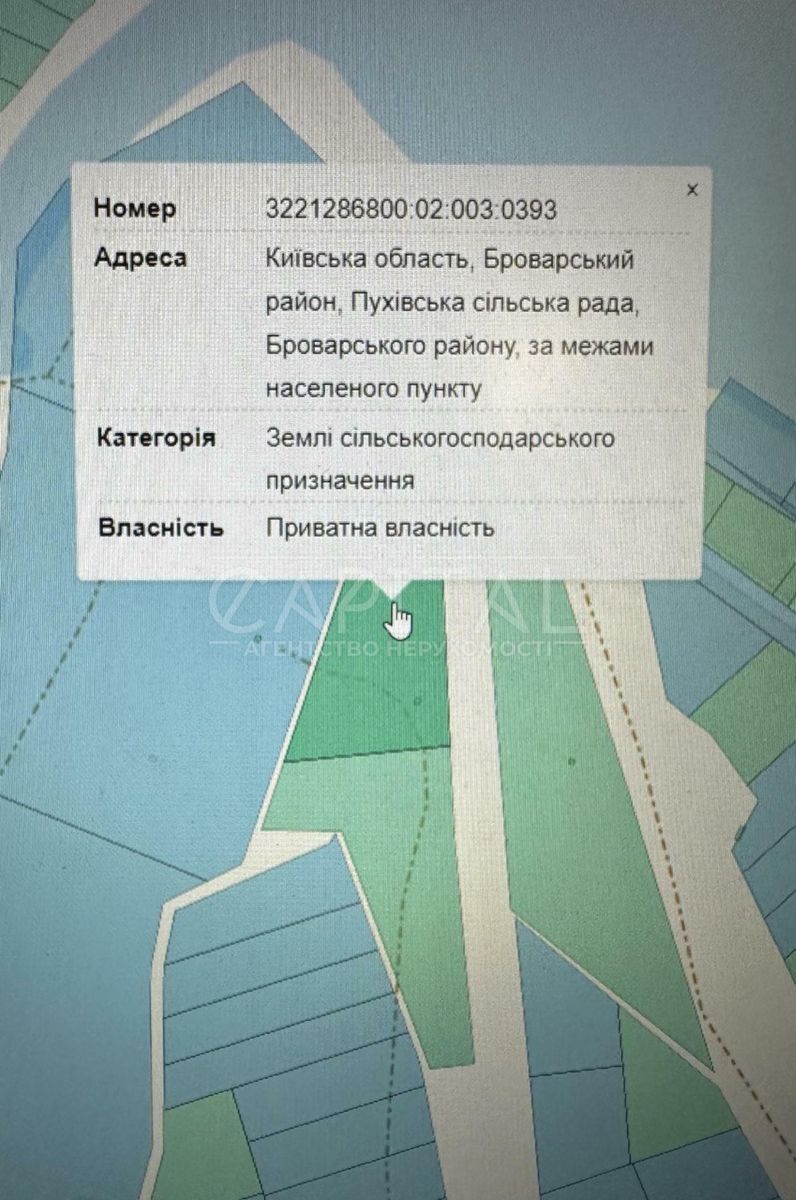 1835456607907233
