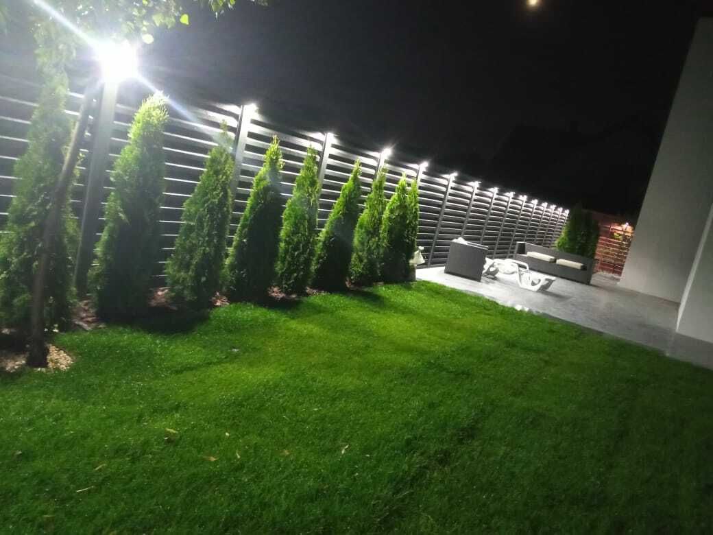 1703636443502234