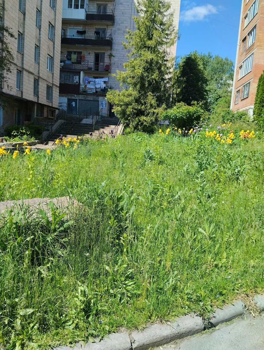 1833622683598235