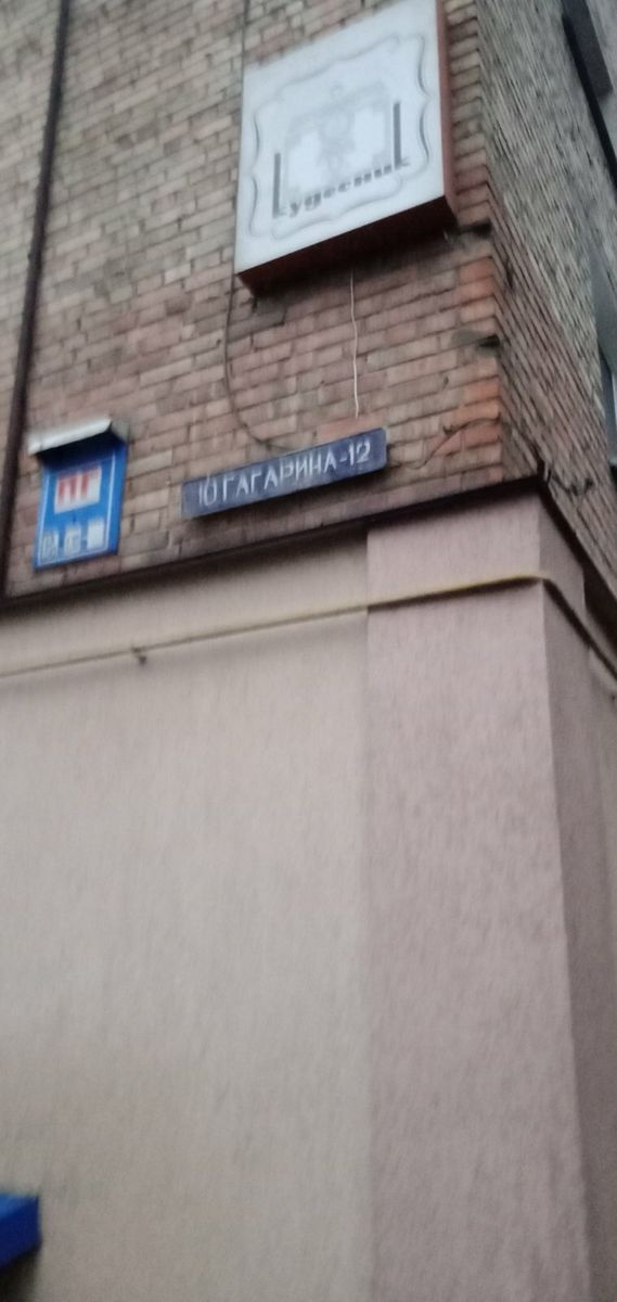 1732895067075239